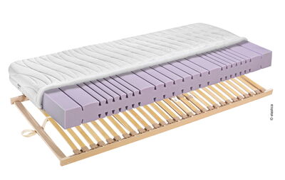 Elastica SET Ergonomic 17 - Matratze Ergonomic 17+ Lattenrost Ultimo FIX