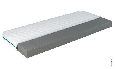 Elastica Merkur 14