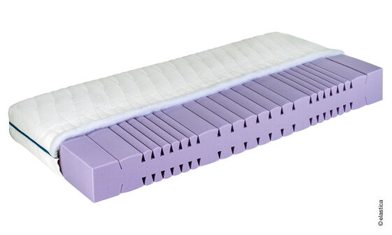 Elastica Ergonomic 21