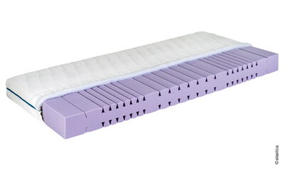 Elastica Ergonomic 19