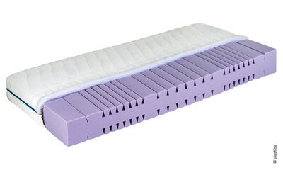 Elastica Ergonomic 21